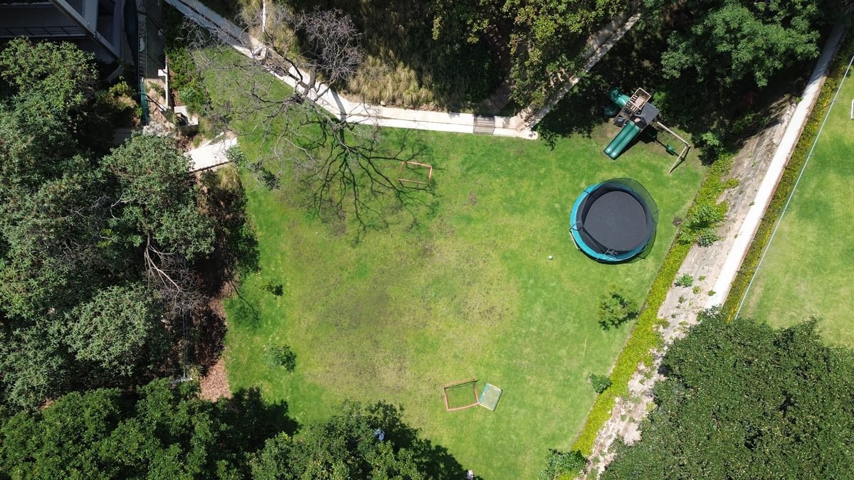 Jardín Común